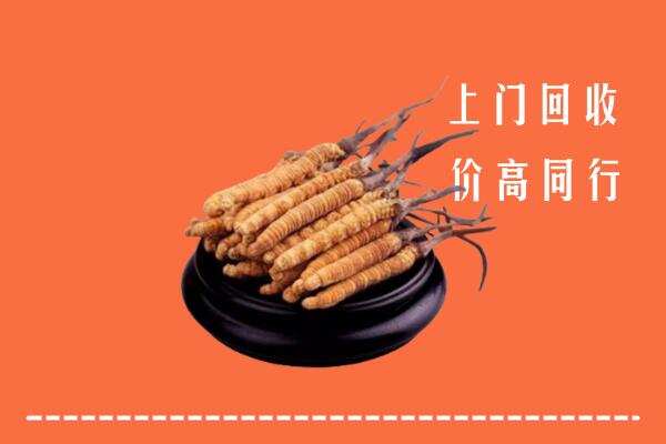 高价求购：昌都回收散虫草