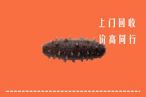 昌都回收海参