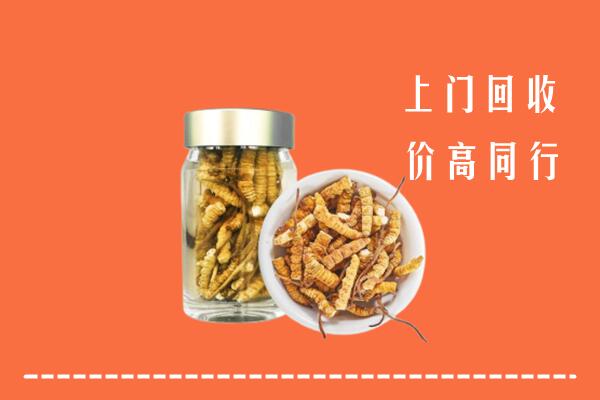昌都回收冬虫夏草