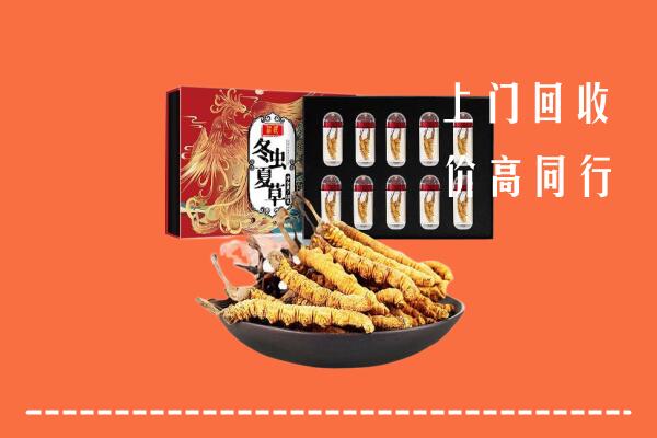 昌都回收虫草